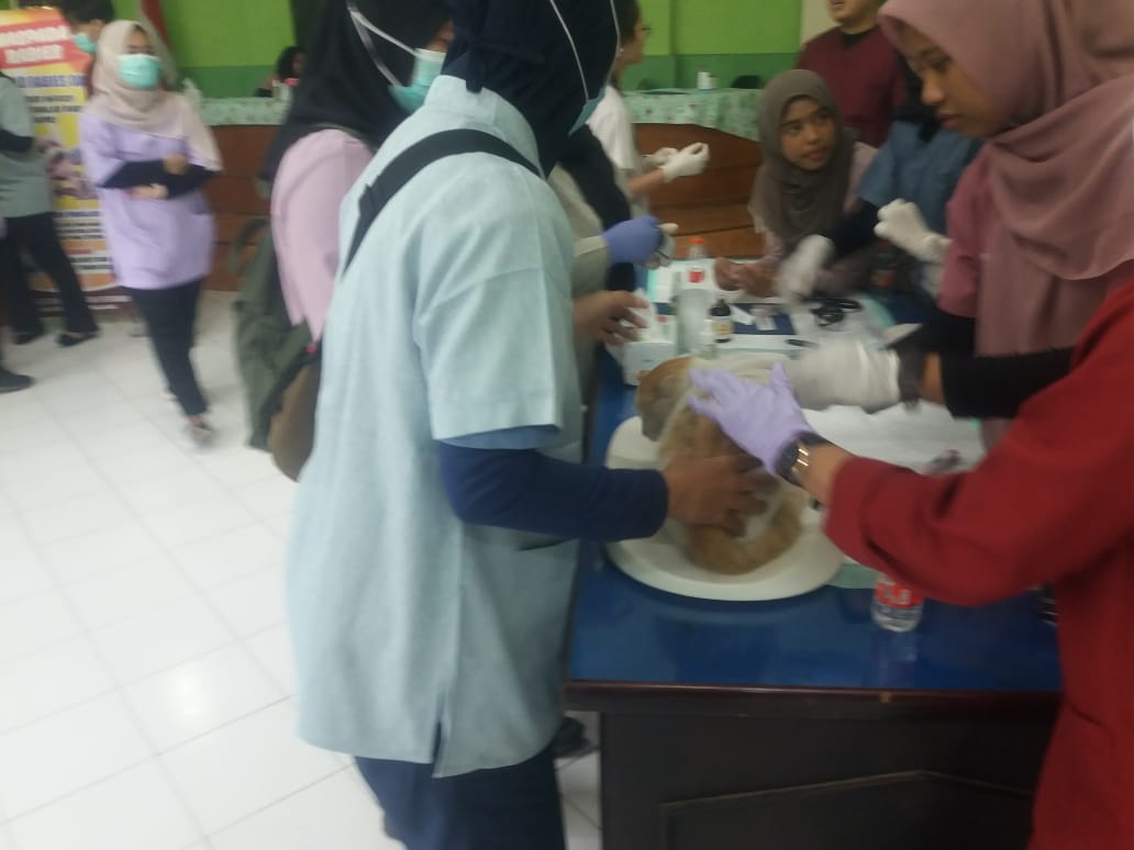 Cegah Rabies, Ratusan Hewan Piaraaan Divaksin Gratis