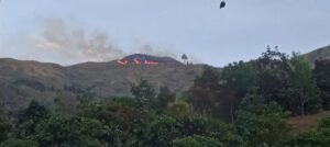 Foto: Visual kebakaran hutan dan lahan di Kabupaten Pasaman, Provinsi Sumatera Barat pada Jumat (1/8). (BPBD Kabupaten Pasaman)