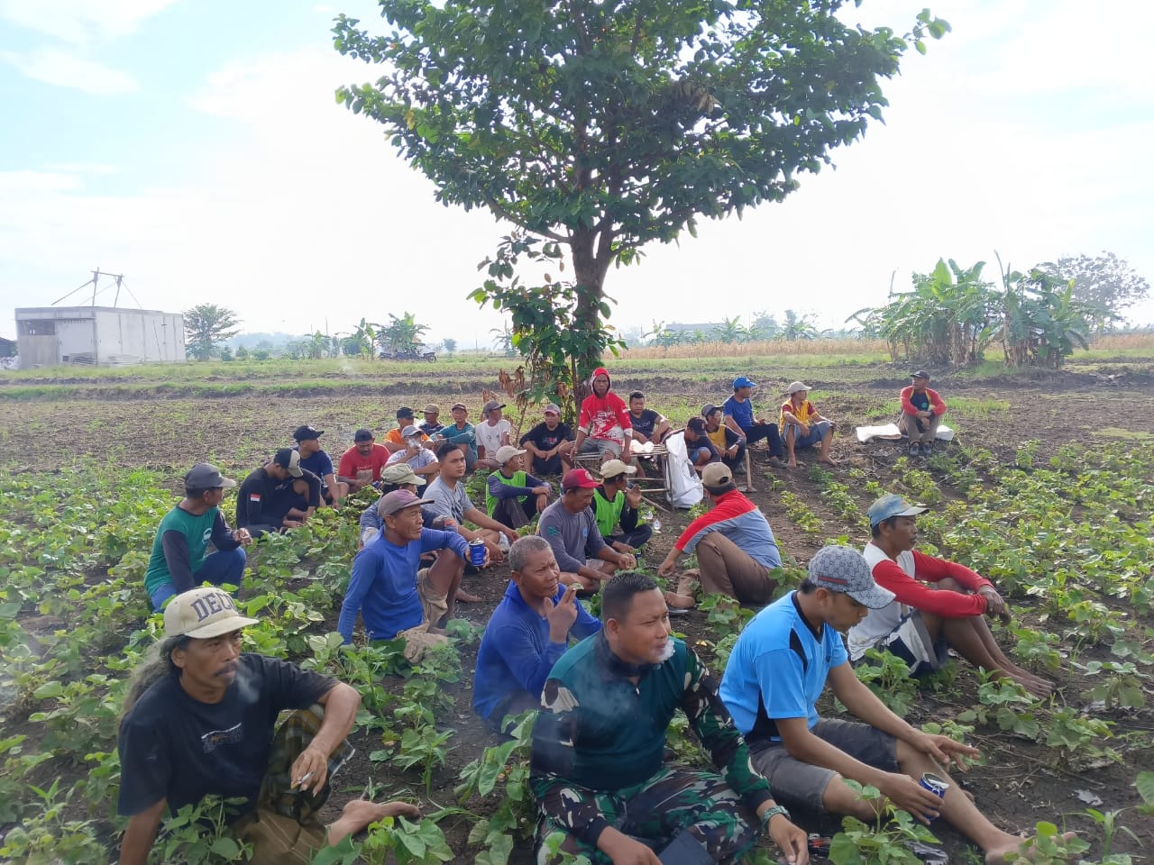 Babinsa Menganti dan Warga Beton Gelar Kerja Bakti Bersihkan Tanggul Irigasi