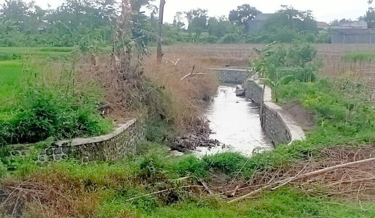 Bangunan Irigasi Rusak Berat