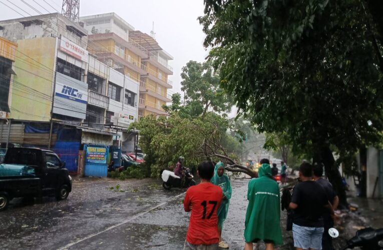 Hujan Deras dan Angin Kencang Landa Surabaya, Pohon Tumbang Timpa Kendaraan