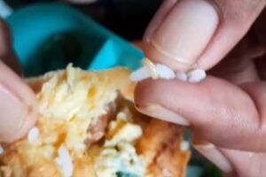 Bukti Nasi bercampur belatung