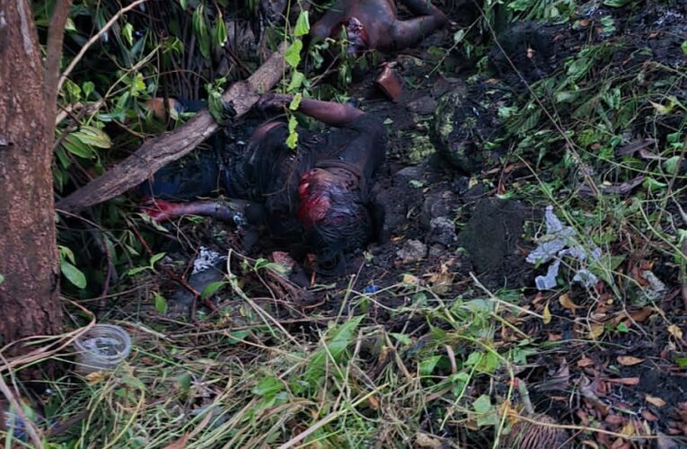 Dua Jenazah Ditemukan Terbakar di Kawasan Mangrove Benoa