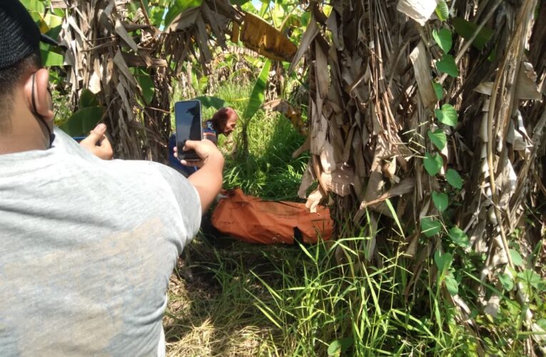 Mayat Misterius Ditemukan di Sawah Sidoarjo