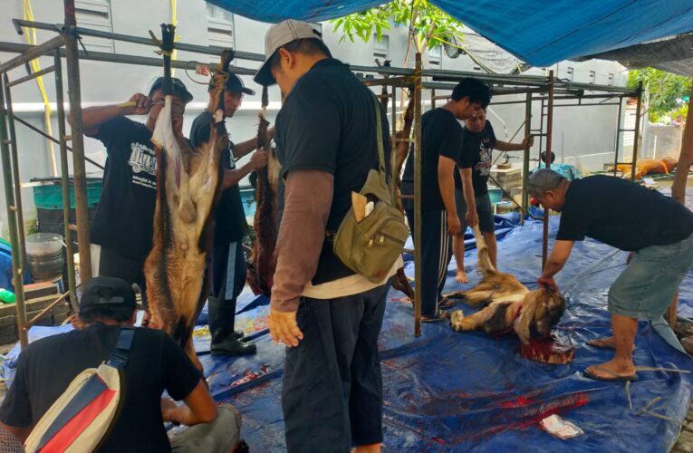 Masjid Al-Ikhlas Marina Sembelih 9 Sapi dan 14 Kambing saat Idul Adha