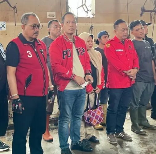 PDIP Surabaya Sembelih 14 Sapi Kurban di RPH, Usung Iduladha Bersih dan Higienis