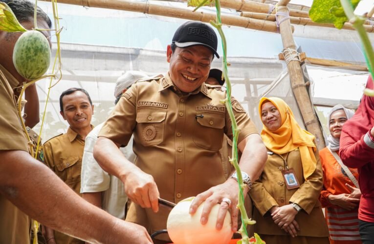Wisata Petik Melon Premium Hadir di Sidorejo, Bupati Sidoarjo Dorong Desa Terus Berinovasi